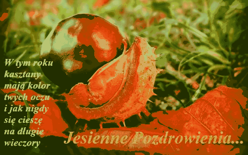 Kasztan na trawie